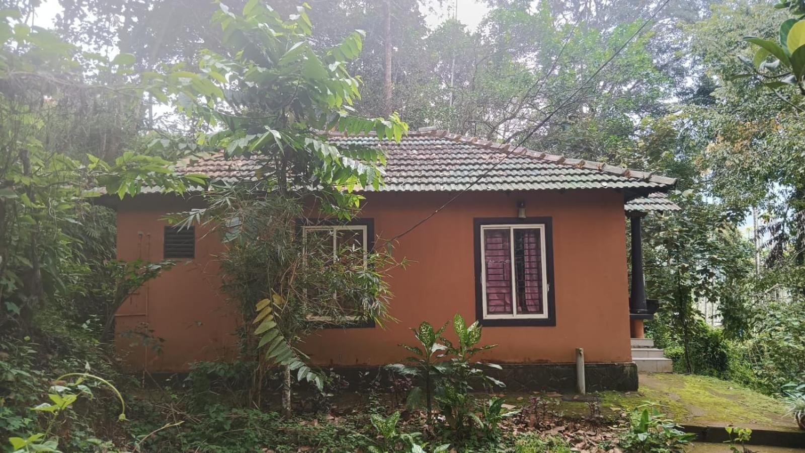 Jungle Valley Ayurvedic Spa Resort Meppādi Exteriér fotografie