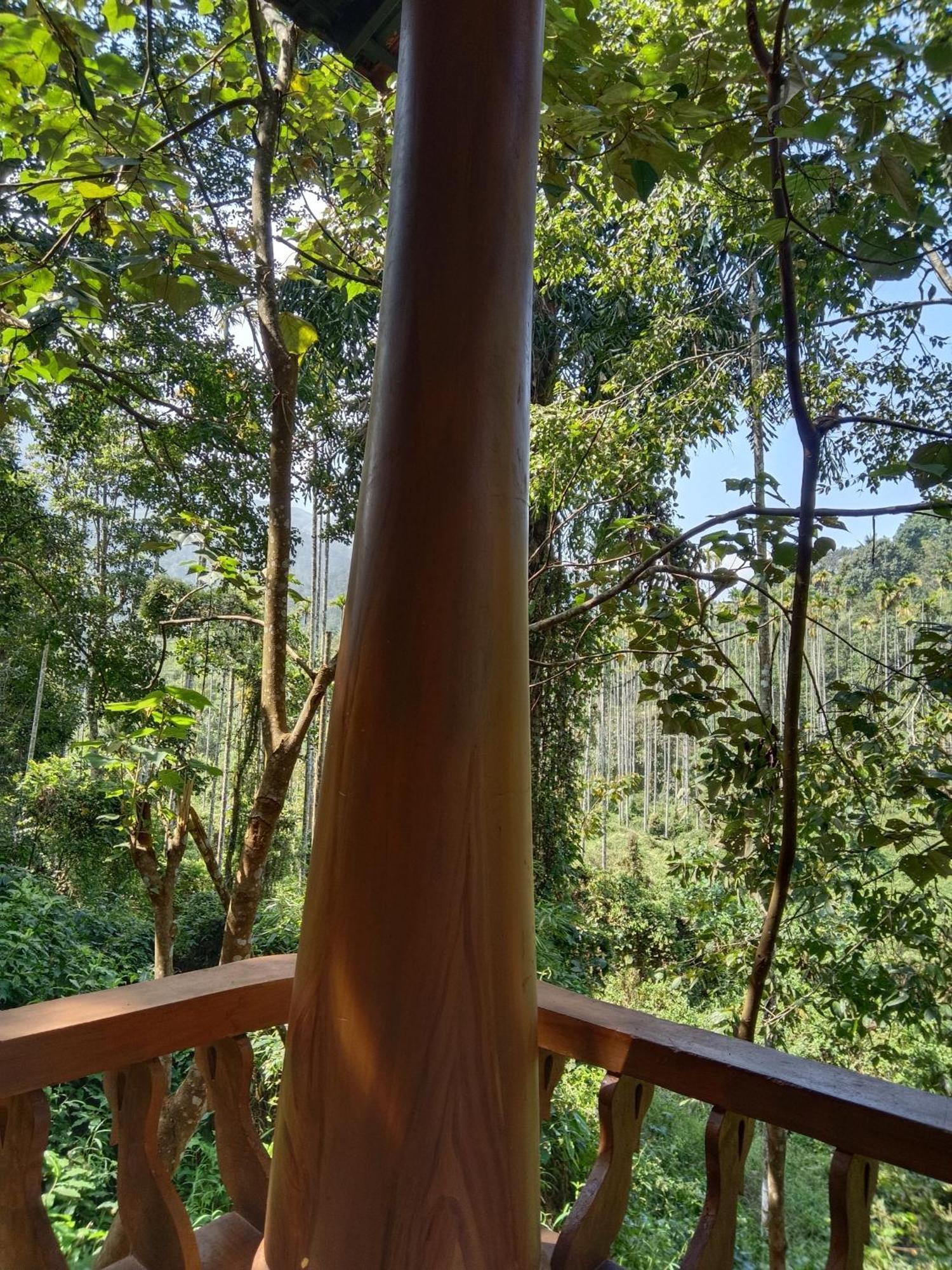 Jungle Valley Ayurvedic Spa Resort Meppādi Exteriér fotografie