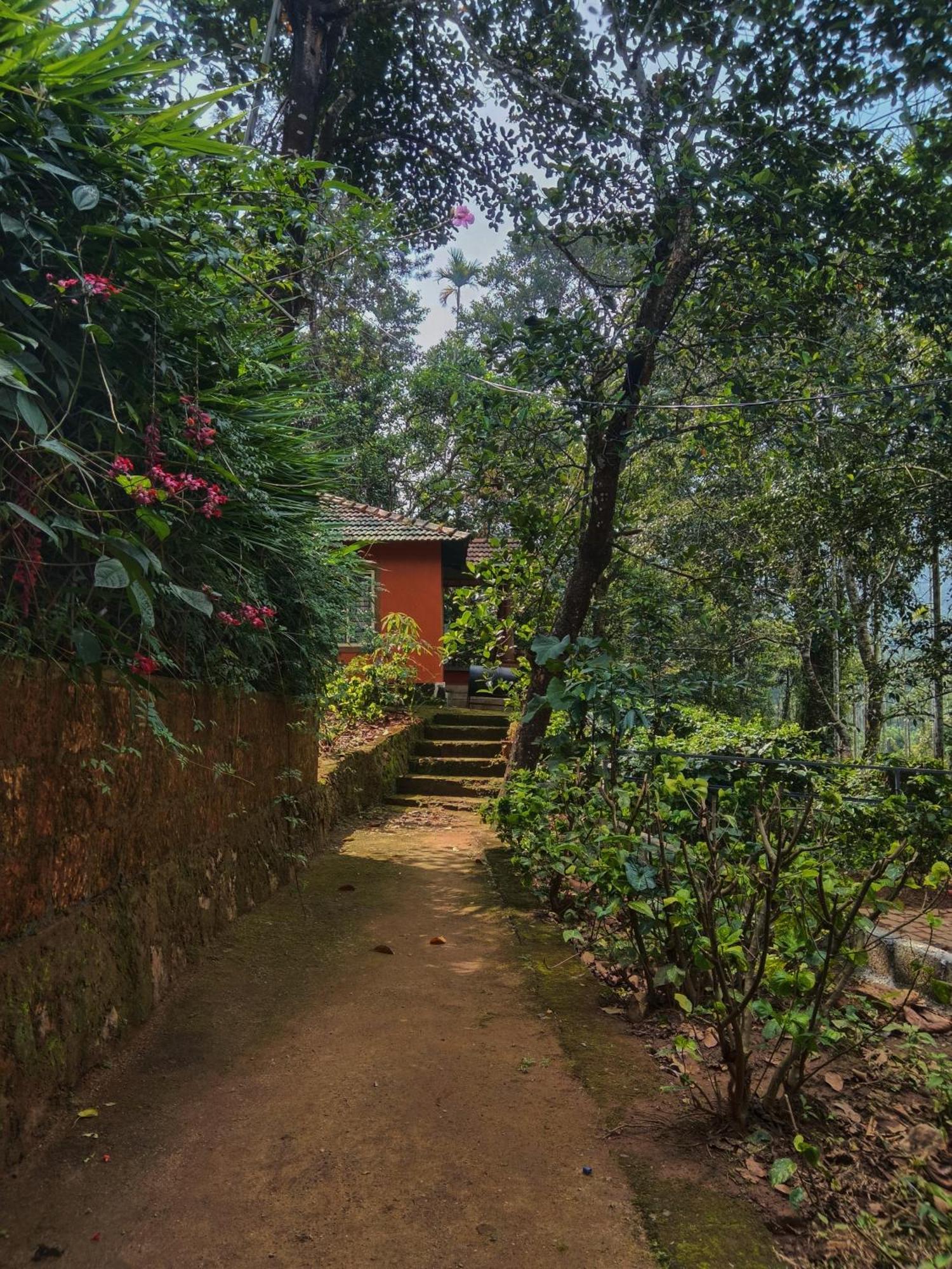 Jungle Valley Ayurvedic Spa Resort Meppādi Exteriér fotografie