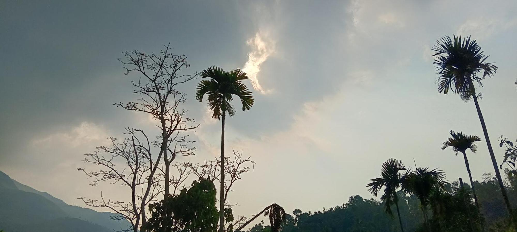 Jungle Valley Ayurvedic Spa Resort Meppādi Exteriér fotografie