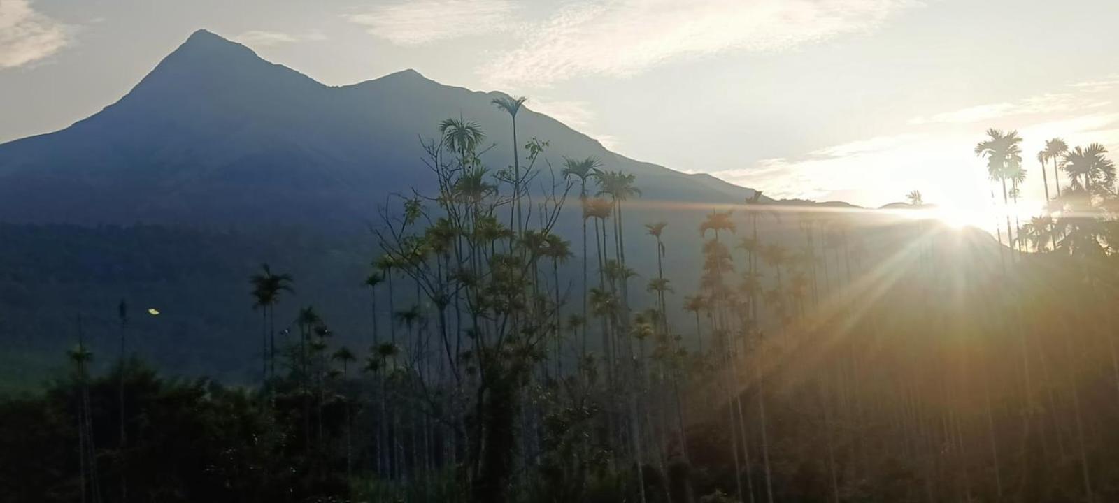 Jungle Valley Ayurvedic Spa Resort Meppādi Exteriér fotografie